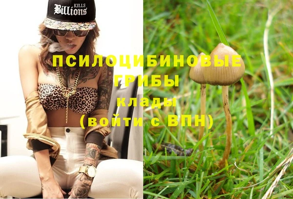 спиды Белокуриха